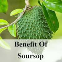 Benefits of Soursop on 9Apps