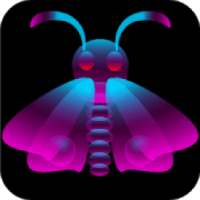 Moth - catch the light