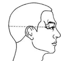 TCM Acupoint index for acupuncture