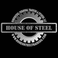 House of SteeL online PT