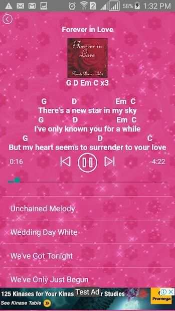 Instrumental Love Song Offline MP3 + Lirik скриншот 4