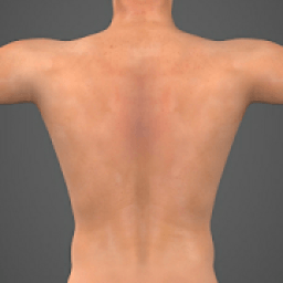 Scratch My Itchy Back आइकन