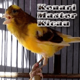 Kenari Master Kicau icon