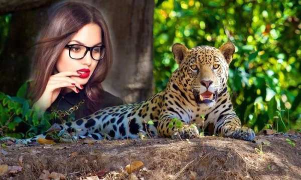 Wildlife Photo Frames : Wildlife Photo Editor स्क्रीनशॉट 4