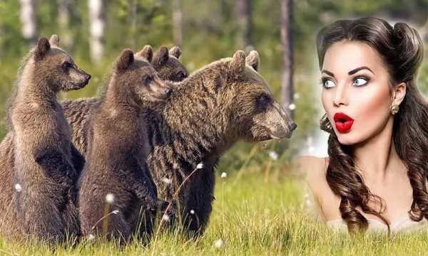 Wildlife Photo Frames : Wildlife Photo Editor स्क्रीनशॉट 3