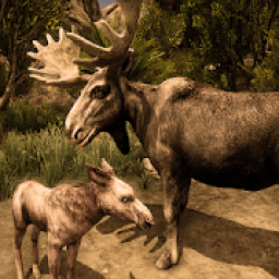 ikon Ultimate Moose Simulator