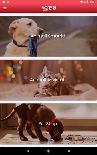 Rescue My Pet screenshot 5