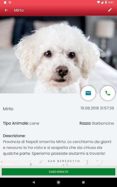 Rescue My Pet screenshot 2