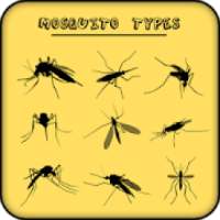 Mosquito types