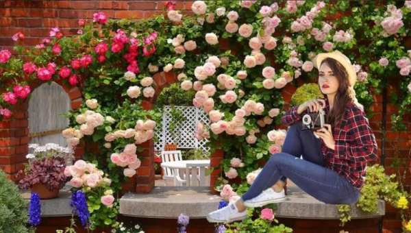Beautiful Flower Photo Frame स्क्रीनशॉट 1
