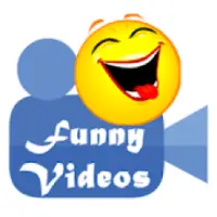 Funny videos hot sale of 2019