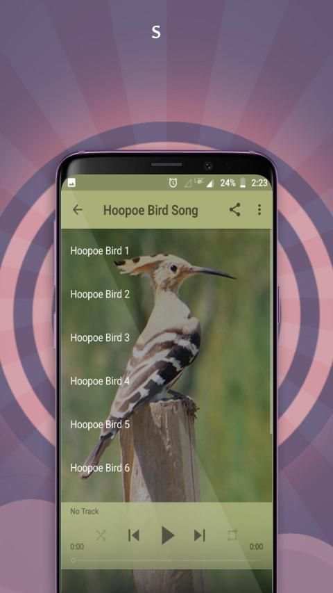 Hoopoe Bird Song स्क्रीनशॉट 3