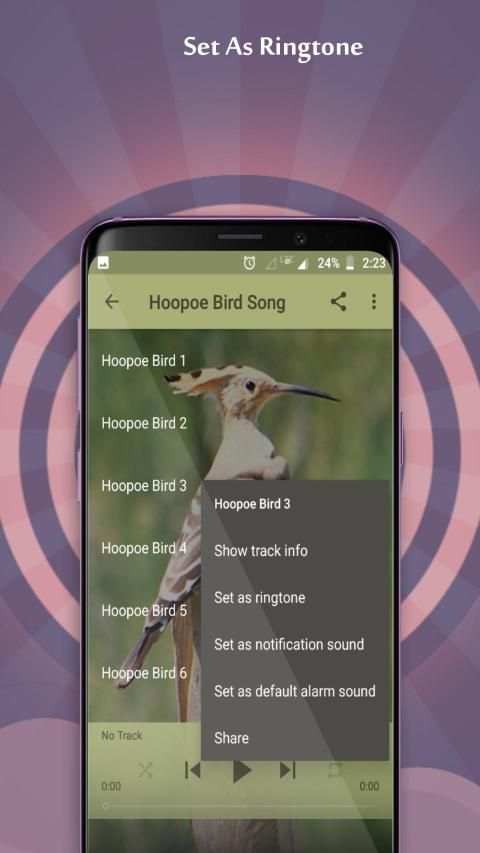 Hoopoe Bird Song स्क्रीनशॉट 4