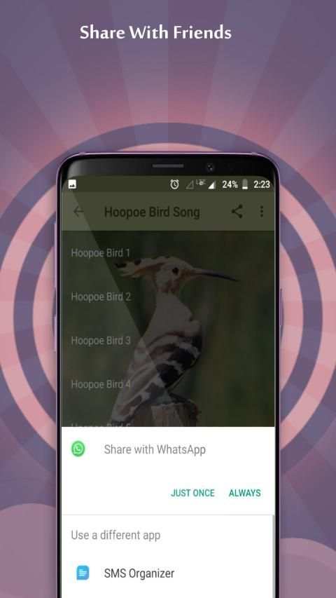 Hoopoe Bird Song स्क्रीनशॉट 5