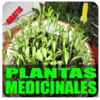 Plantas medicinales, cultivo y dietas