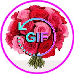 Wonderful Bouquet Flowers And Roses GIF**