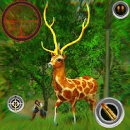 Deer Hunting Game 2019