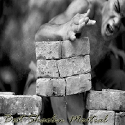 ikon Best Shaolin Martial Arts Movement Training