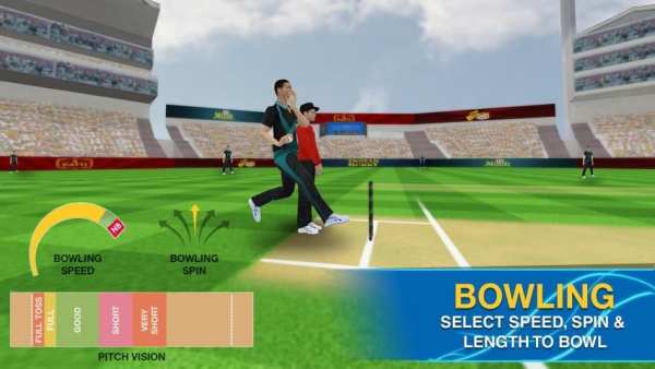 Cricket Multiplayer स्क्रीनशॉट 4
