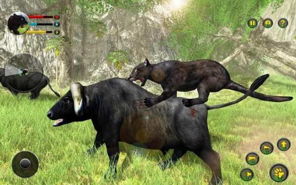 Panther Simulator 3d Animal Games screenshot 11
