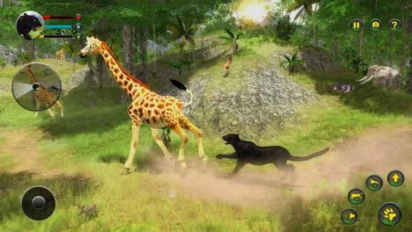 Panther Simulator 3d Animal Games screenshot 1