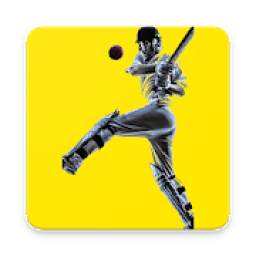 cricket 1.0