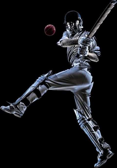 LMN Cricket screenshot 2