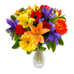 flowers-صور اجمل ورد
‎ icon