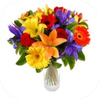flowers-صور اجمل ورد
‎