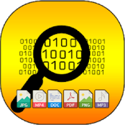 ikon Files Recovery(photo/video/number)