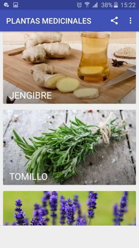 PLANTAS MEDICINALES screenshot 1