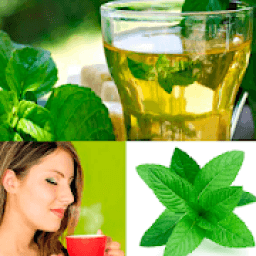 PLANTAS MEDICINALES icon