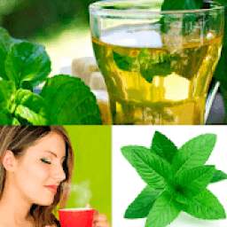 PLANTAS MEDICINALES 1.0