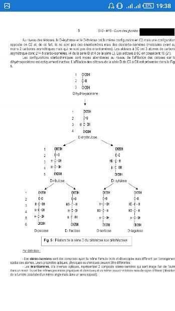 cours glucides скриншот 1