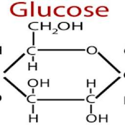 cours les glucides 1.0