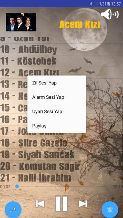 Kurtlar Vadisi Pusu 2 Dizi Müziği screenshot 2