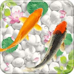 Fish Live Wallpaper Free - Aquarium Koi Bgs