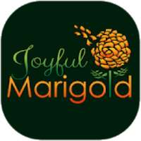 Marigold