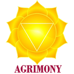AGRIMONY Spiritual Healing: Pranic, Reiki! आइकन