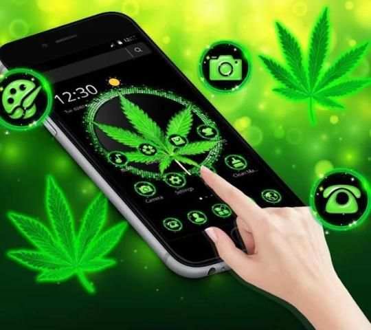Neon Weed Rasta Theme screenshot 3
