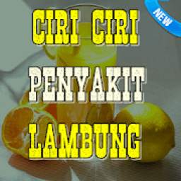 Ciri-Ciri Penyakit Lambung