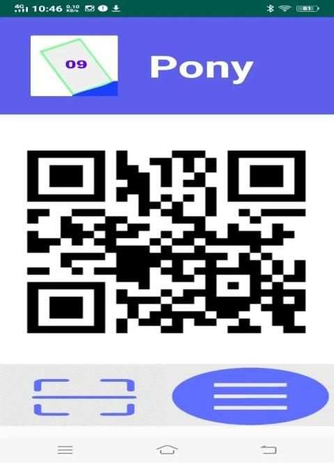 Pony screenshot 2