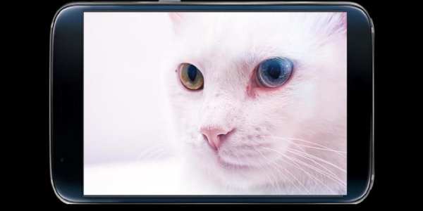 camera for android screenshot 6