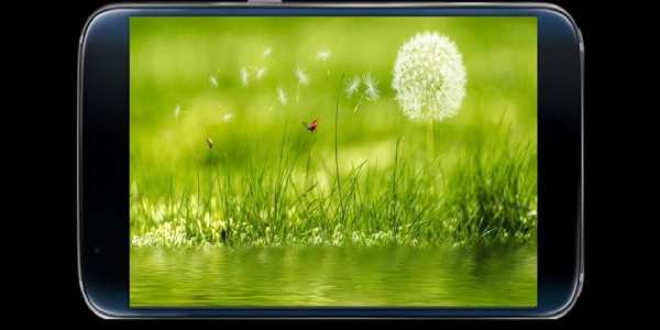 camera for android screenshot 1