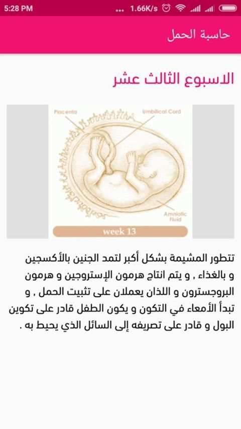حاسبة الحمل وموعد الولادة
‎ screenshot 2