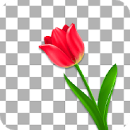 Erase Background: Bg Changer आइकन