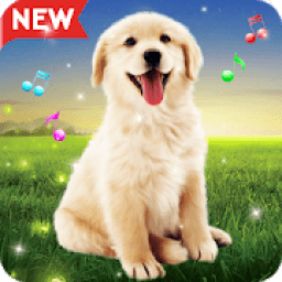 ikon Animals Sound Ringtones Real Free