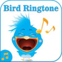 Bird Ringtones on 9Apps