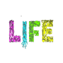 Life VPN आइकन