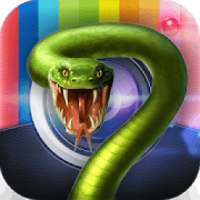 Snake Camera